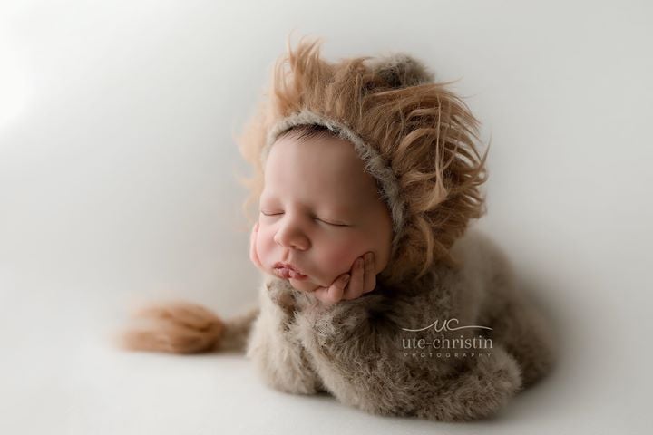 Image of Furry Little Lion Cub