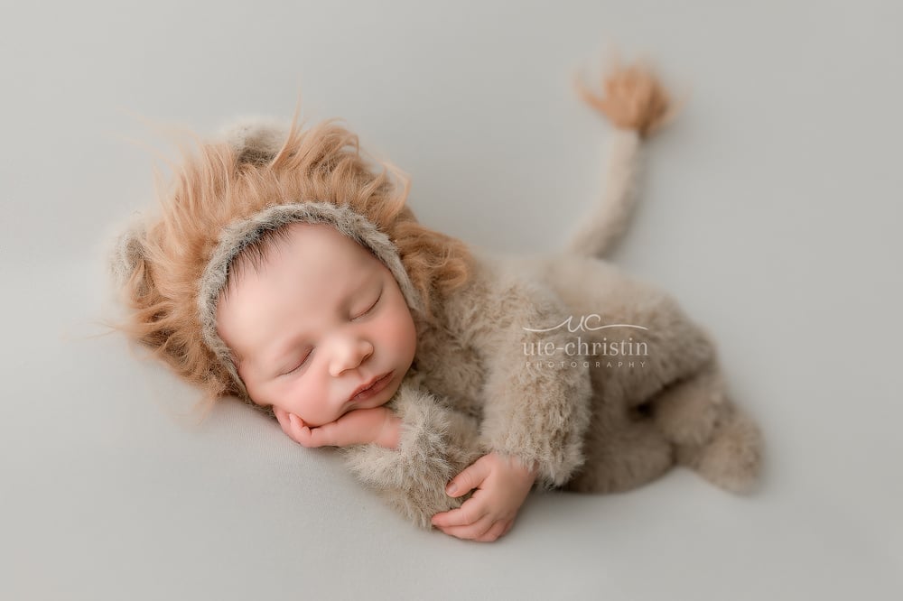 Image of Furry Little Lion Cub