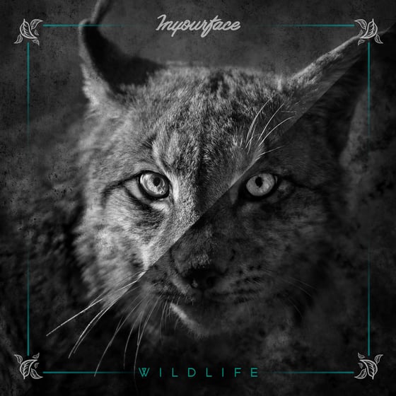 Image of Wildlife Album