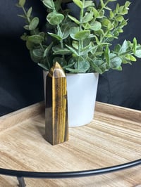 Tiger’s Eye Tower