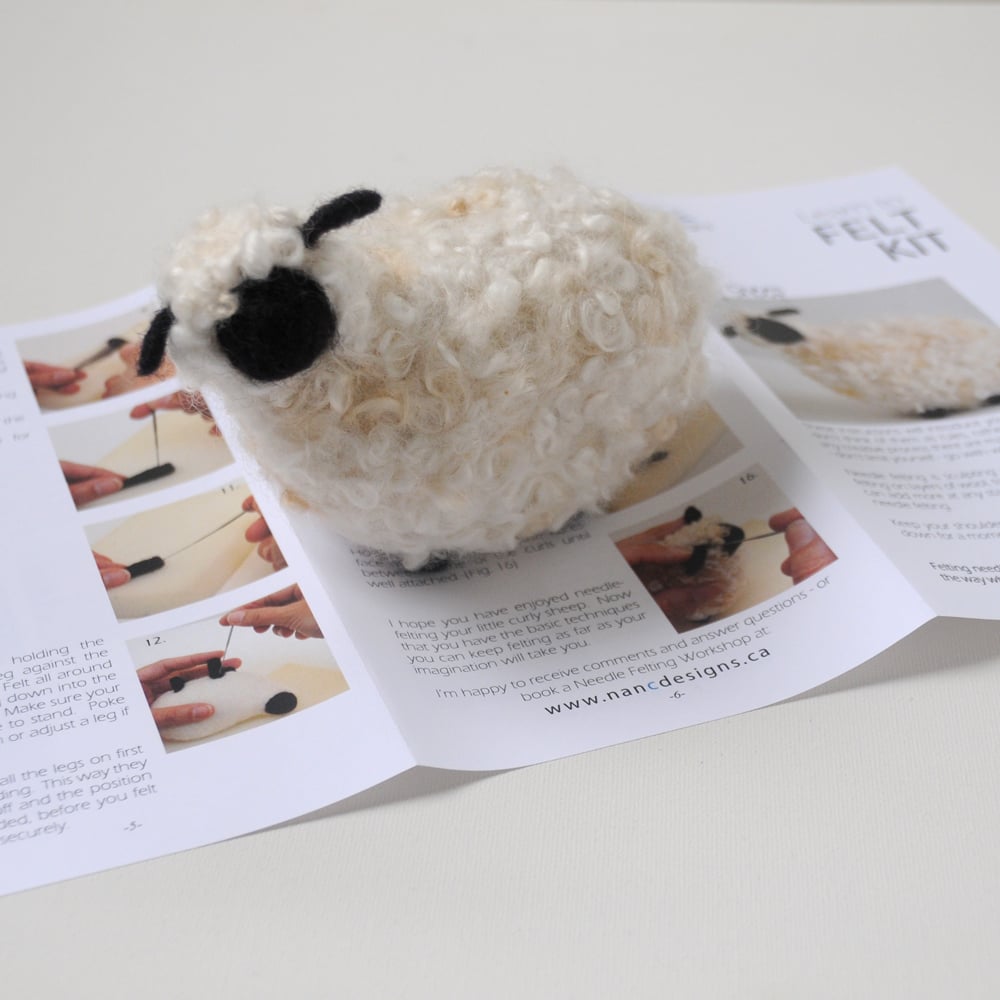 Curly Sheep - Needle Felting Kit