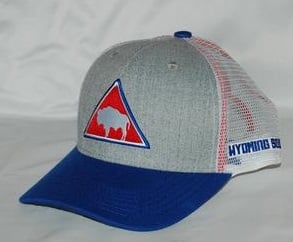 Image of The Bison Trucker Cap