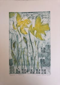 Image 4 of Daffodils in February 