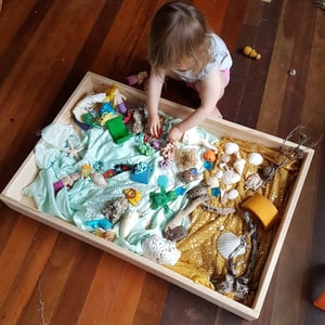 Image of Extra Large Play Tray