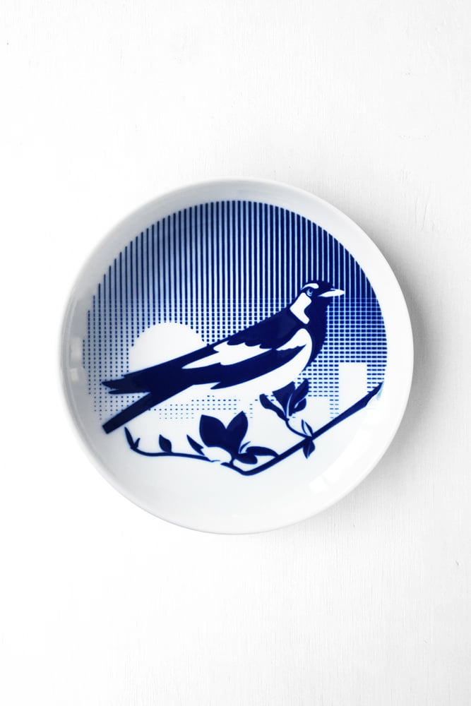 Image of Piping Shrike