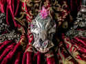 Light Pink Titanium Quartz - Hog Skull