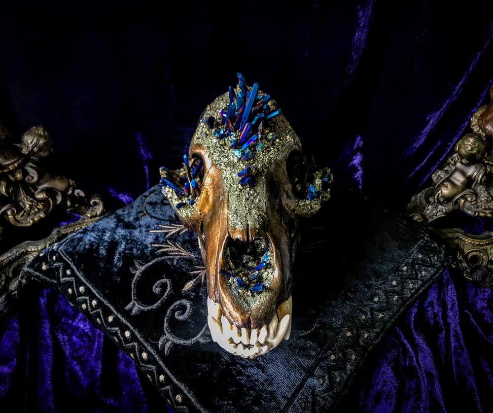 Image of Chalcopyrite & Blue Titanium Quartz - Bear Skull