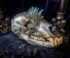 Baby Blue Titanium Quartz Glittered - Bear Skull