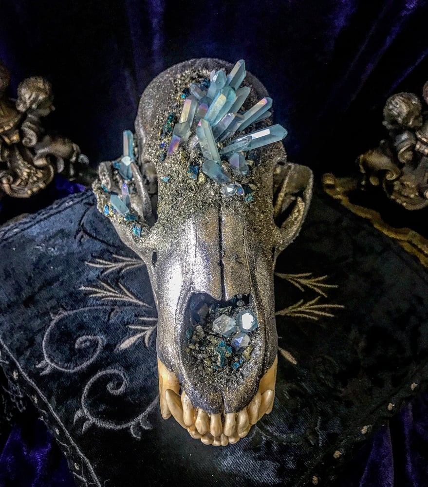 Image of Baby Blue Titanium Quartz Glittered - Bear Skull