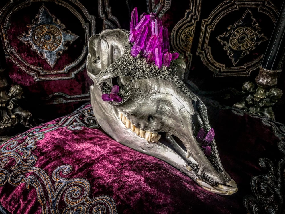 Image of Fuschsia Quartz - Llama Skull