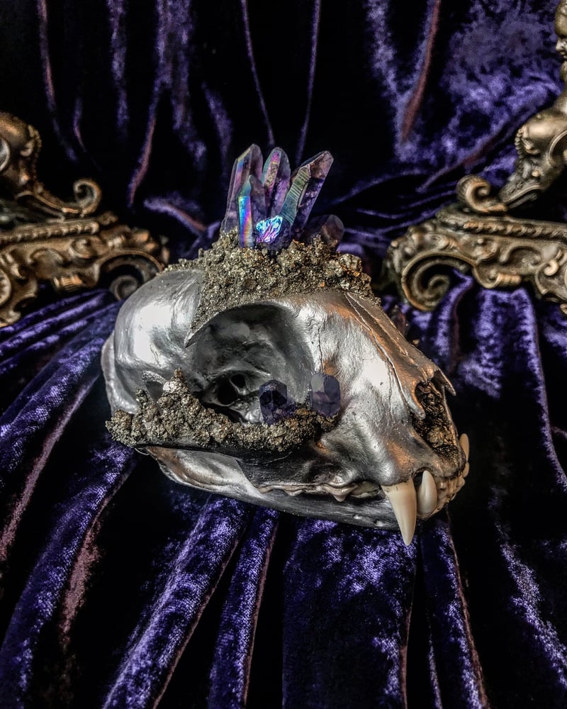 Image of Purple/Blue Rainbow Titanium Quartz -Bobcat Skull