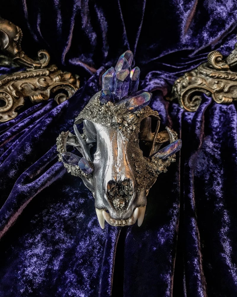 Image of Purple/Blue Rainbow Titanium Quartz -Bobcat Skull
