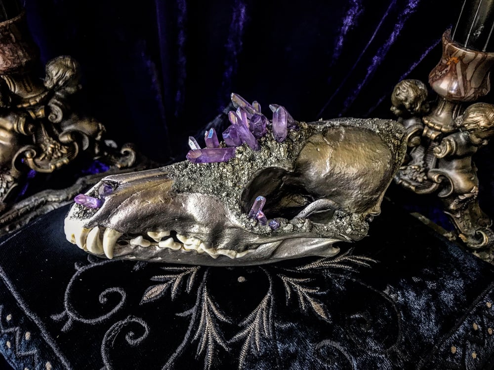 Image of Lavender Purple Titanium Aura Quartz - Grey Fox Skull