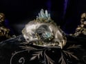 Blue Titanium Quartz & Chalcopyrite - Bobcat Skull