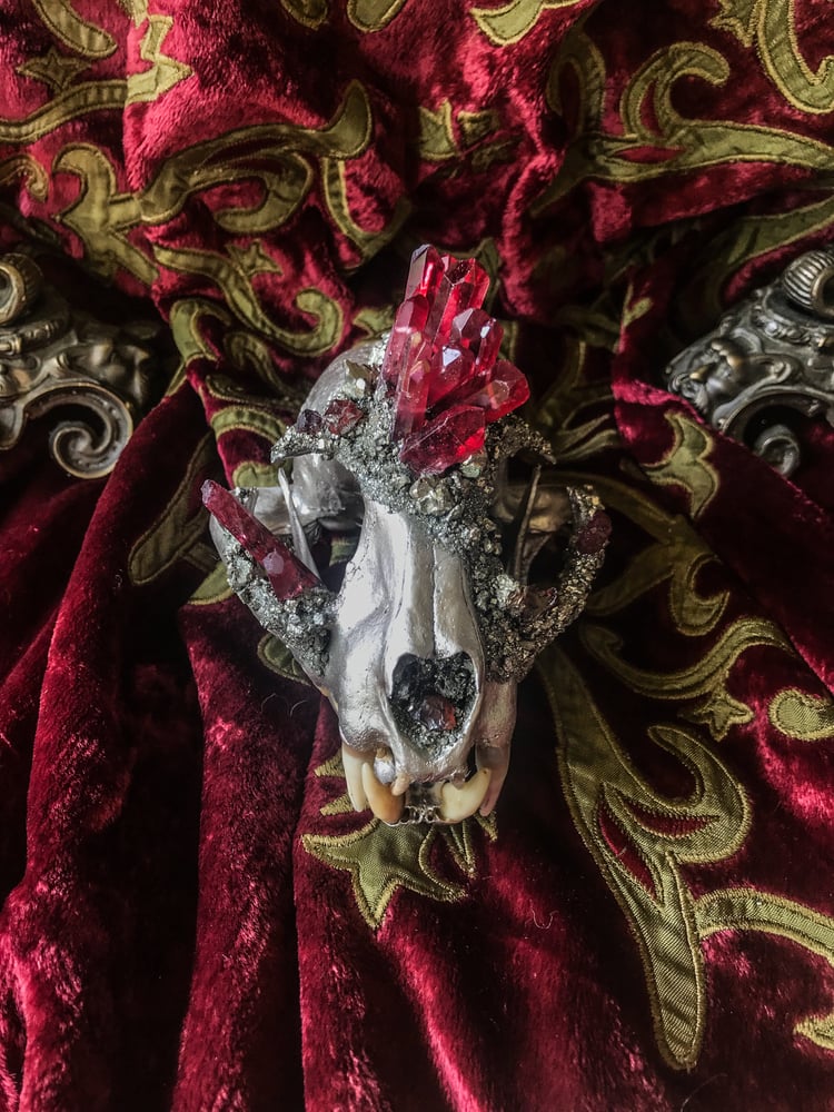 Image of Red Titanium Quartz - Bobcat Skull