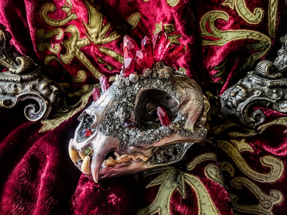 Image of Red Titanium Quartz - Bobcat Skull