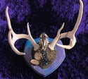 White Rabbit Chalcopyrite & Quartz Dear Antler Rabbit Skull - Jewelry Display