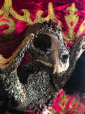 Garnet Embellished Bobcat Skull Deer Antler & Fox Bones - Jewelry Display.