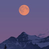 Image 2 of "Solitude"