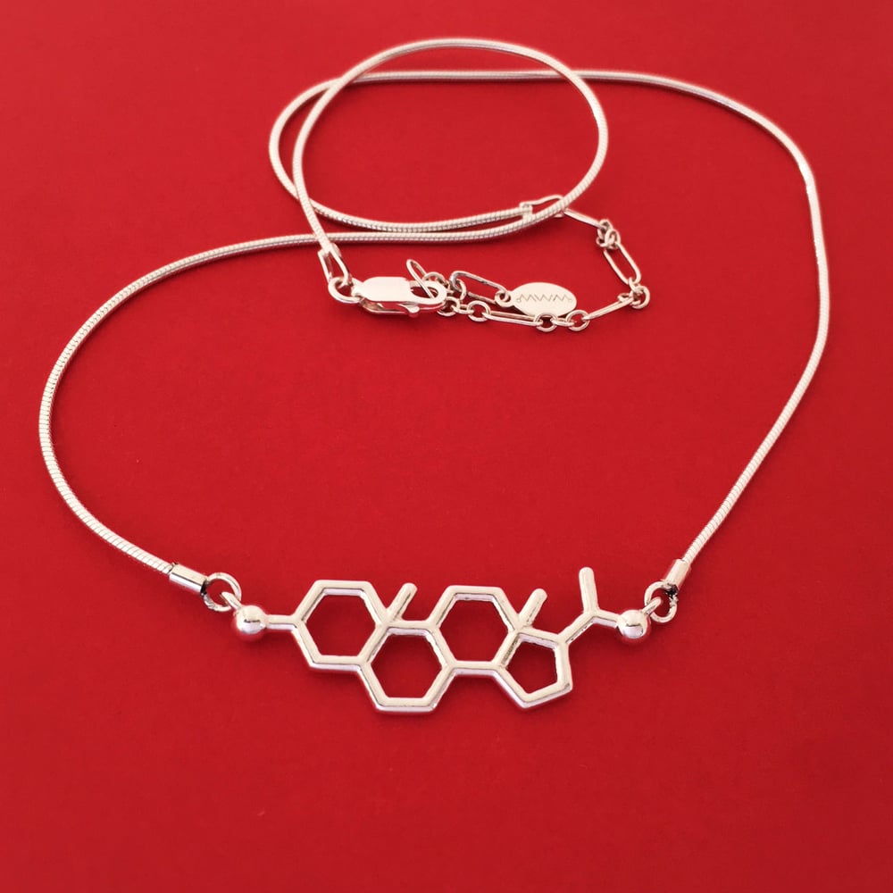 Image of progesterone necklace