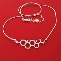 Image 1 of progesterone necklace