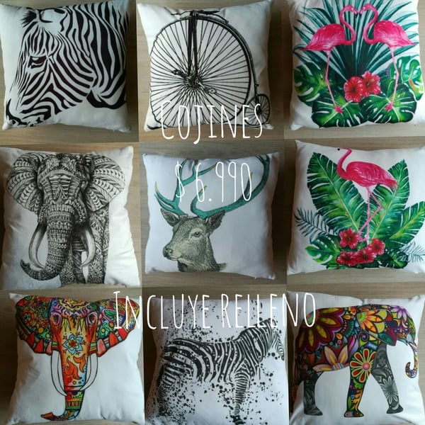 Image of COJINES