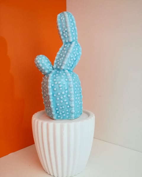 Image of CACTUS