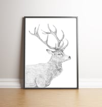 Image 1 of THE STAG - limited edition signed print 