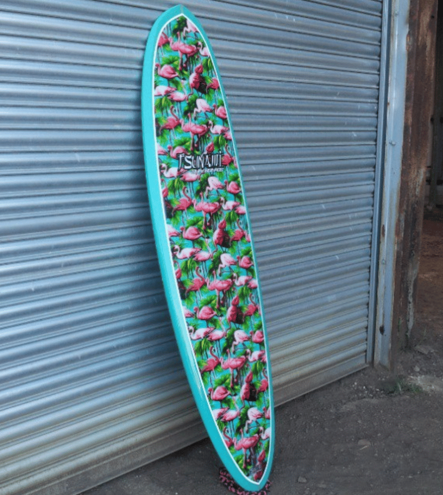 Image of Custom fish and retro boards
