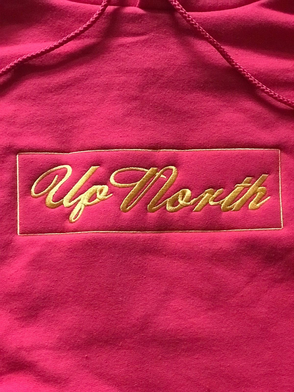 Image of Red Champion UpNorth Embroidered Hoodie 