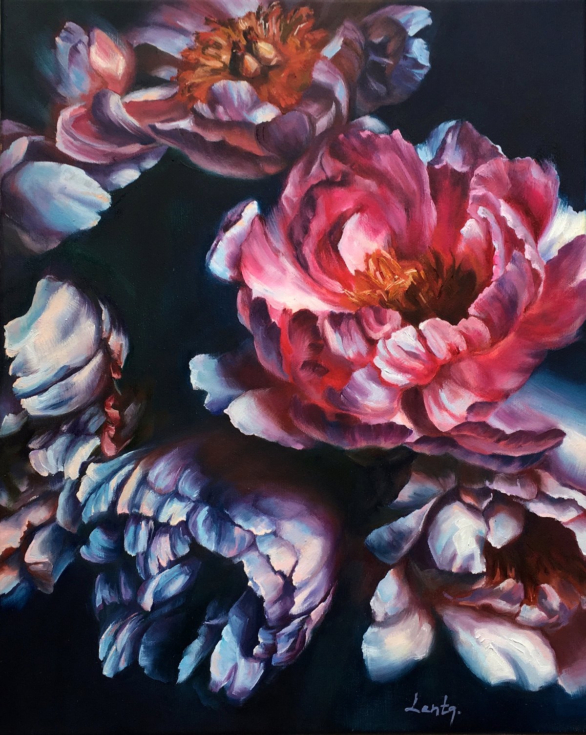 Image of Peony Flowers