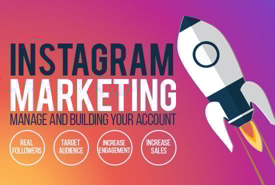Instagram Manager Email Below If You Are A Youtuber Web Marketing Solutions