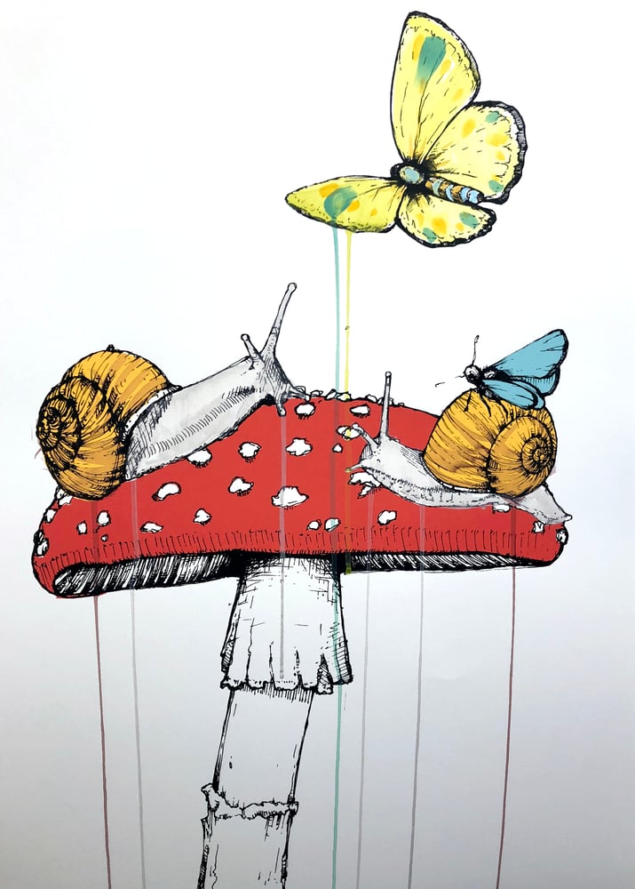Image of Snail & Butterfly Prints