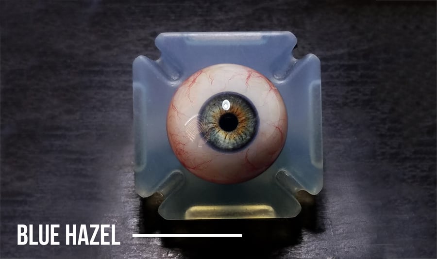 Image of Camera Ready Blue Hazel Human Eye