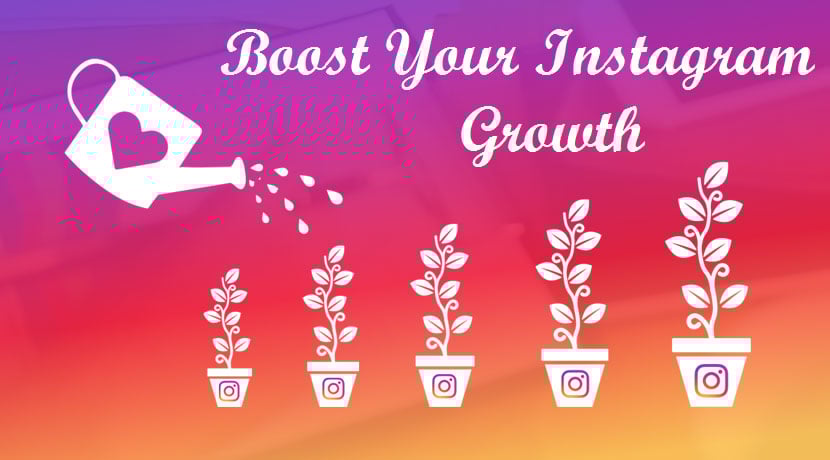 Image of Top Instagram Growth Service | Instagram Marketing Service Free Trial