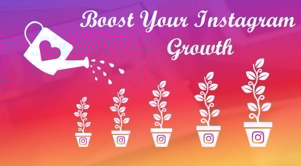 Image of Top Instagram Growth Service | Instagram Marketing Service Free Trial