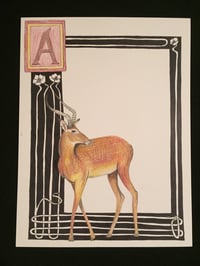 Image 2 of “A” (Antelope) 
