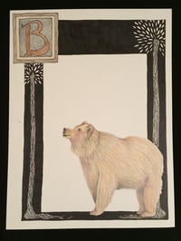 Image 1 of “B” (Bear)