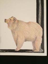 Image 3 of “B” (Bear)