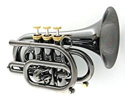 Image of Best Professional Trumpet