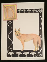 Image 3 of “D” (Dingo)