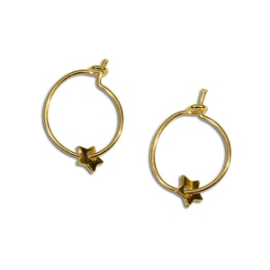 Image of Bo Little Star / Little Star Earring