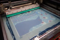 Image 4 of The Peacock and the Night Crow / Silkscreen Poster