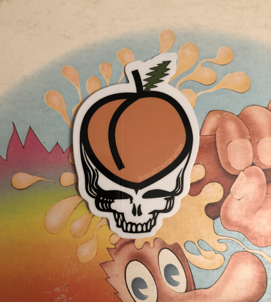 Image of SYP Stealie Sticker