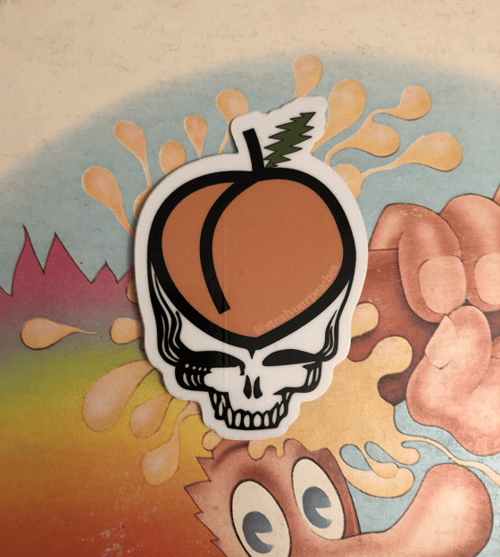 Image of SYP Stealie Sticker