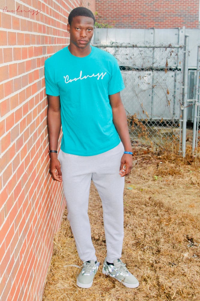 Image of Official Coolness T-Shirt - Teal