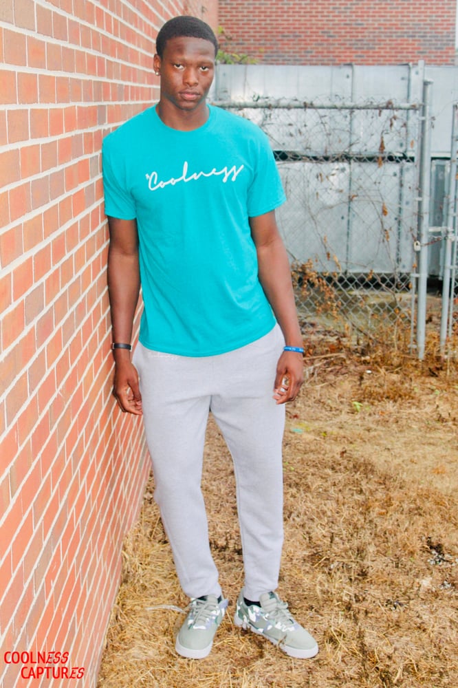 Image of Official Coolness T-Shirt - Teal