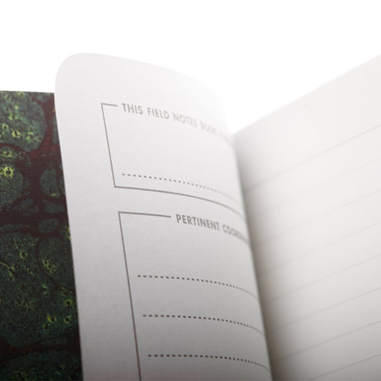 Image of Field Notes - End Papers