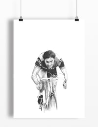 Image 2 of Eddy Merckx A4 print - by Gemma Jones