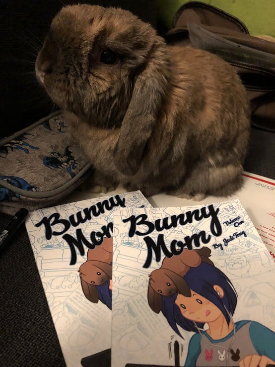 Bunny Mom Volume 1
